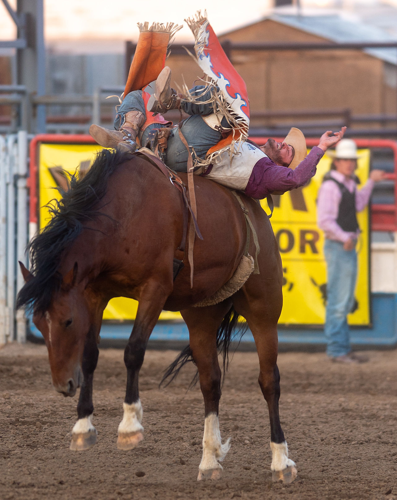 Magic Valley Stampede full of thrills